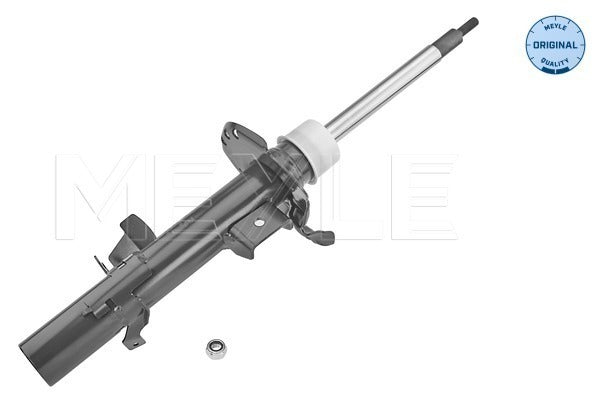 Land Rover Freelander II Front Shock Absorber Set (53-266230004, 53-266230005) - Meyle