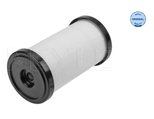 Audi A3 8P1, Q2 GAB, Q3 F3B, 8UB, TT 8N3, Skoda Laura, Superb II, III, Octavia II, III, Yeti 5L, VW Beetle 5C1, Jetta, Passat, Tiguan ATF Filter - 1001360003 Meyle Germany