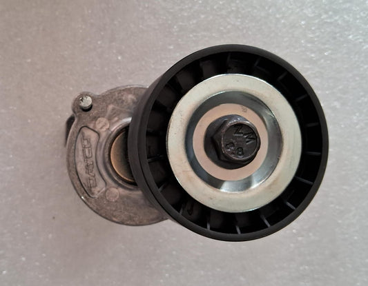 Audi A4 8K, A6 4G, Q3, Q5, Skoda Laura, Fabia, Rapid, Superb, VW Jetta, Passat, Polo (All 2.0D Models) - Adjuster - APV 2511 - Dayco