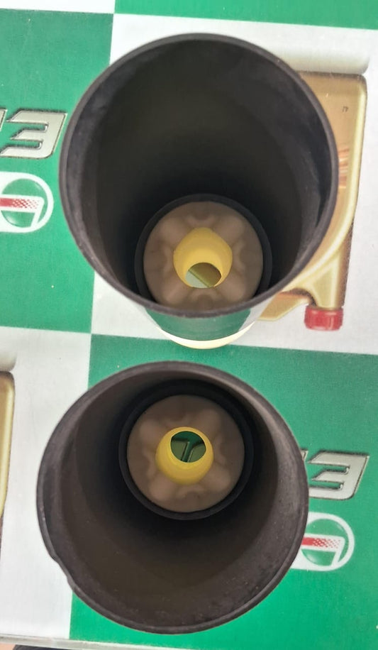 BMW 3 Series F30, F34 - Rear Shocker Kit - MJ