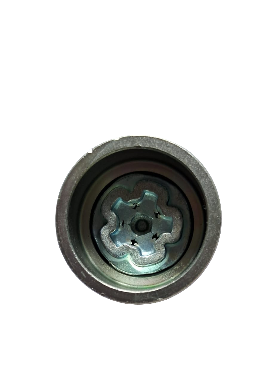 Audi - Special Nut E (Goti) - MJ