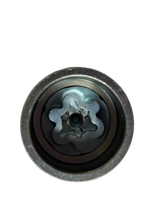 Audi - Special Nut S (Goti) - MJ