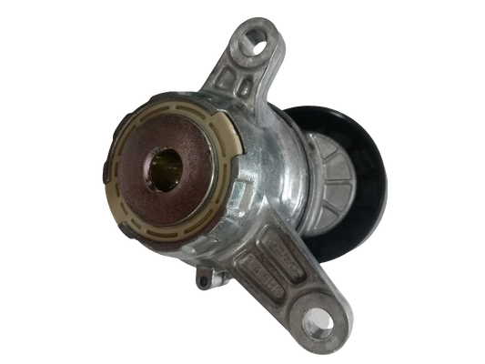 Audi, Skoda, VW 2.0 Diesel New Models Fan Belt Adjuster - APV3208 Dayco