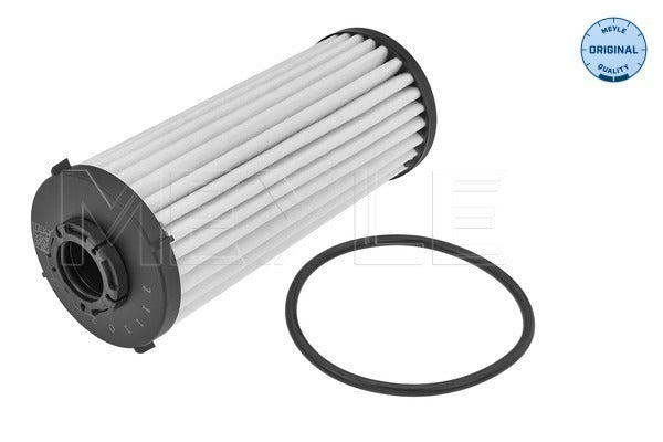 Audi A3, Q3, Skoda Kodiaq, VW Passat, Tiguan - ATF Filter - 1001361011 - Meyle