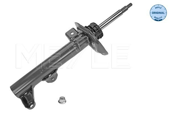 Mercedes C Class W204 Front Shock Absorber Set 0266230013 - Meyle