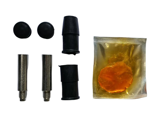 Ford Ecosport, Fiat Punto, VW Polo, Vento, Ameo, Skoda Rapid Caliper Pin Set One Side NT-5019 - MJ