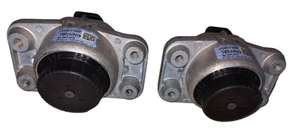 Land Rover Range Rover Sport L494, Discovery (2013 onwards) Petrol - Engine Mounting Right & Left Side Set LR494-T1000 - TechNix