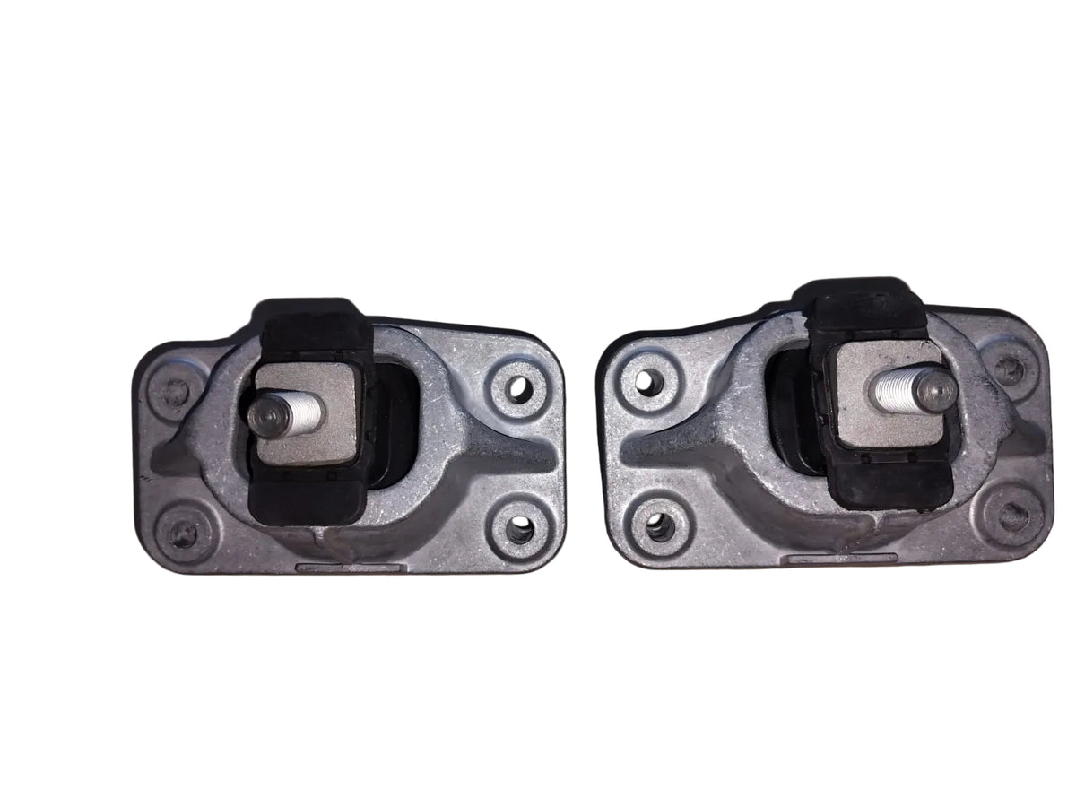 Land Rover Range Rover Sport L494, Discovery (2013 onwards) Petrol - Engine Mounting Right & Left Side Set LR494-T1000 - TechNix
