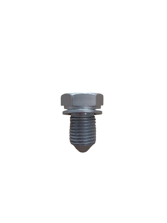 VW Polo, Vento, Ameo, Skoda Rapid, Audi Drain Plug - N90813202 VW