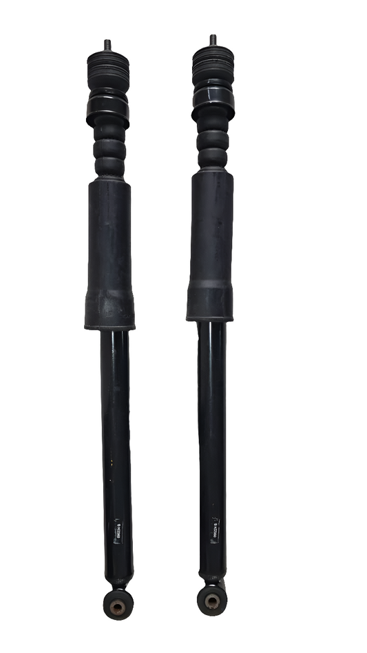 Honda Amaze, Brio - Rear Shock Absorber Right & Left Side Set - Gabriel