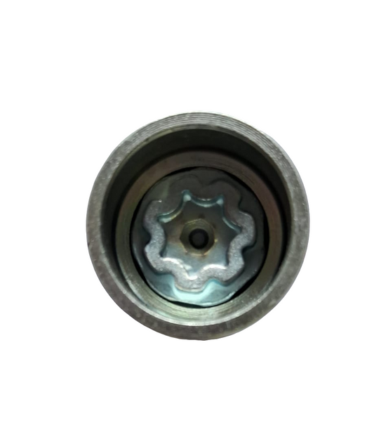 Audi - Special Nut Q (Goti) - MJ