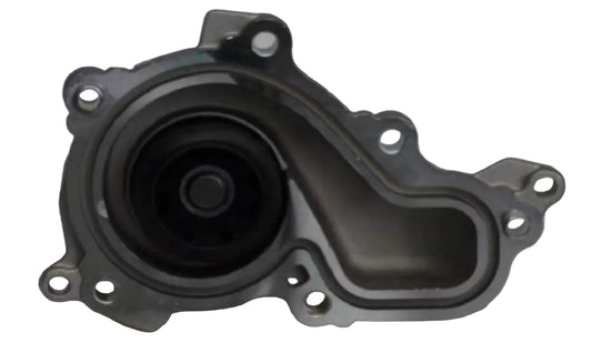 Ford Ecosport Petrol T II Water Pump - RG-311 Riga