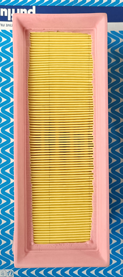 Maruti Suzuki Wagon R-K Air Filter - A4124 Purflux France