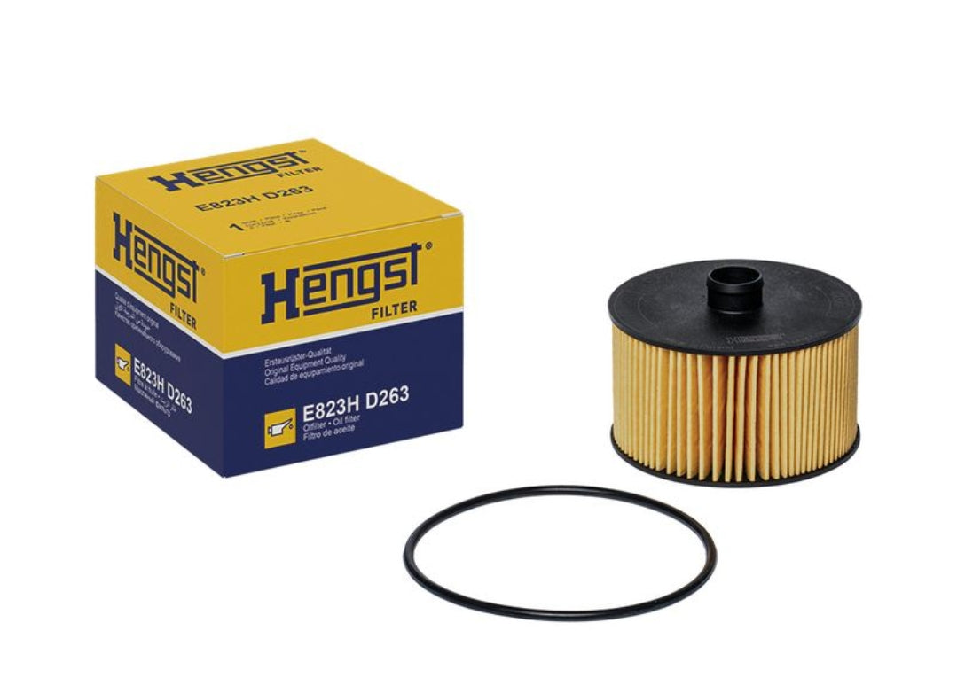 Mercedes A Class 177, B Class 247, CLA 118 Petrol Oil Filter - E823HD263 Hengst