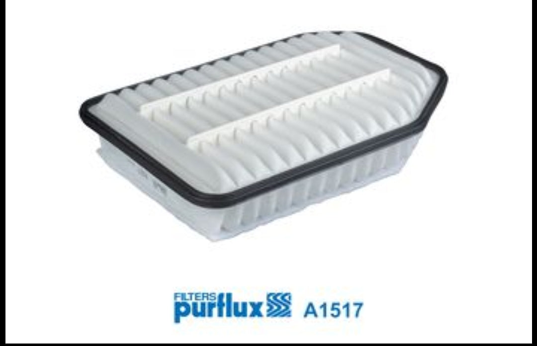 Jeep Wrangler III 2.8 CRD Air Filter - A1517 Purflux France