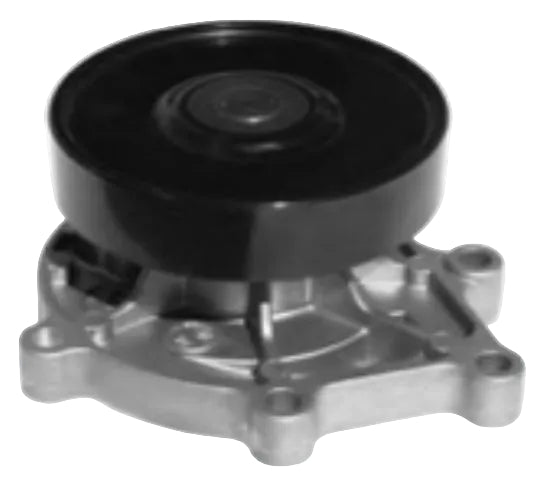 BMW, Mini Cooper Roadster Water Pump - RG-8815 Riga
