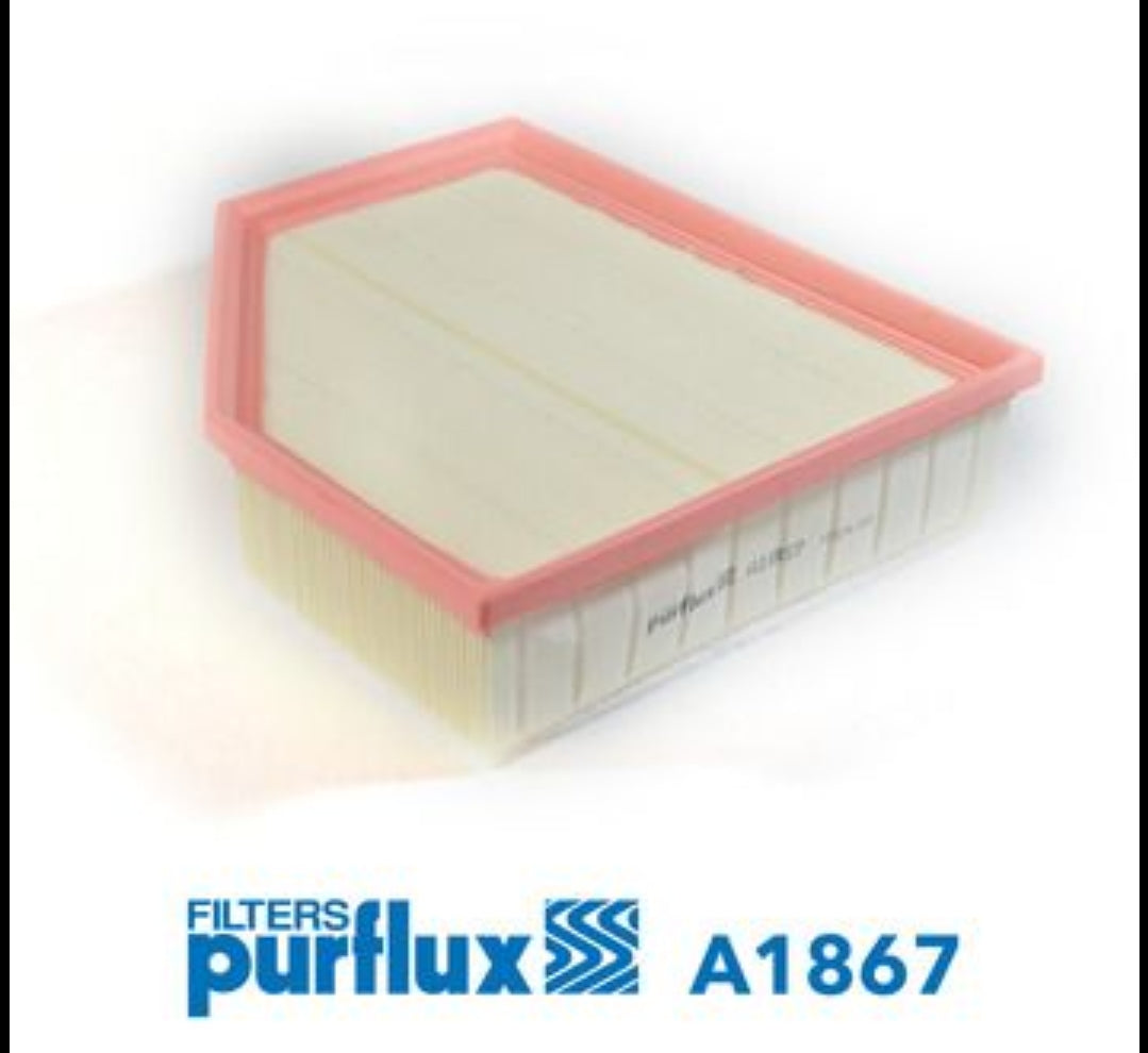 BMW 5 G30, 6 G32, 7 G11, X3 G01, X4 G02, X5 G05 Air Filter - A1867 Purflux France